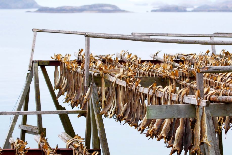 Dried Fish for a Ticket? Yes, Really!