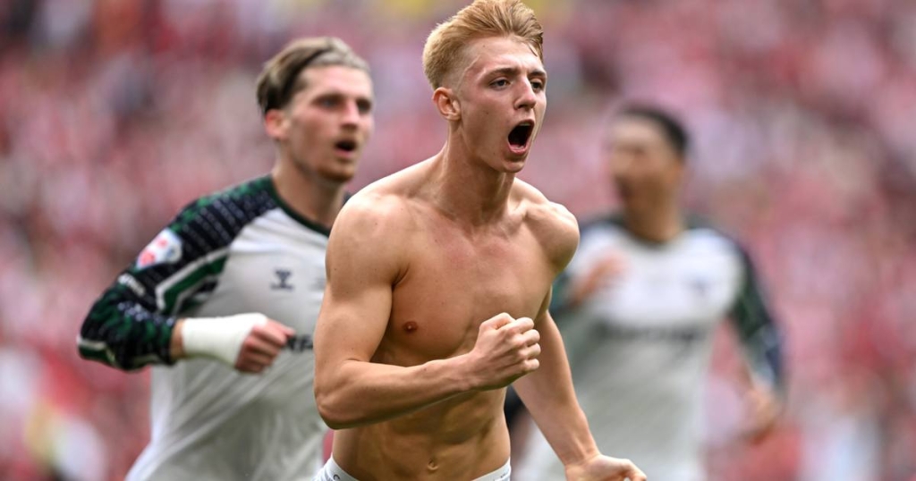 Late Drama Seals Sunderland's Return to the Top Flight