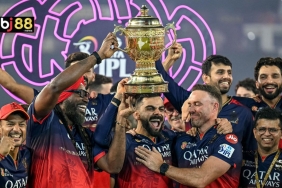Bengaluru Makes History! First IPL Championship After Beating Punjab